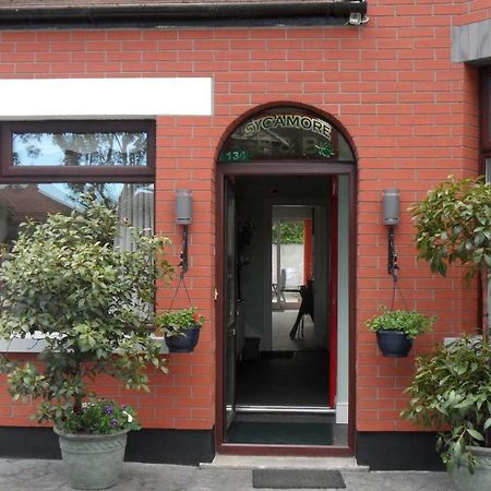 Sycamore House B&B Dublin Eksteriør bilde