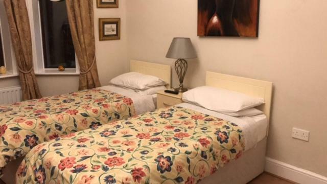 Sycamore House B&B Dublin Eksteriør bilde