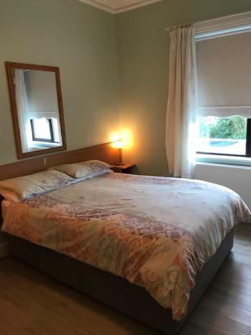 Sycamore House B&B Dublin Eksteriør bilde